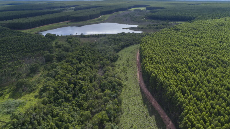 Valmet fornecerá fábrica de celulose completa com soluções de automação e válvulas para Arauco no Brasil