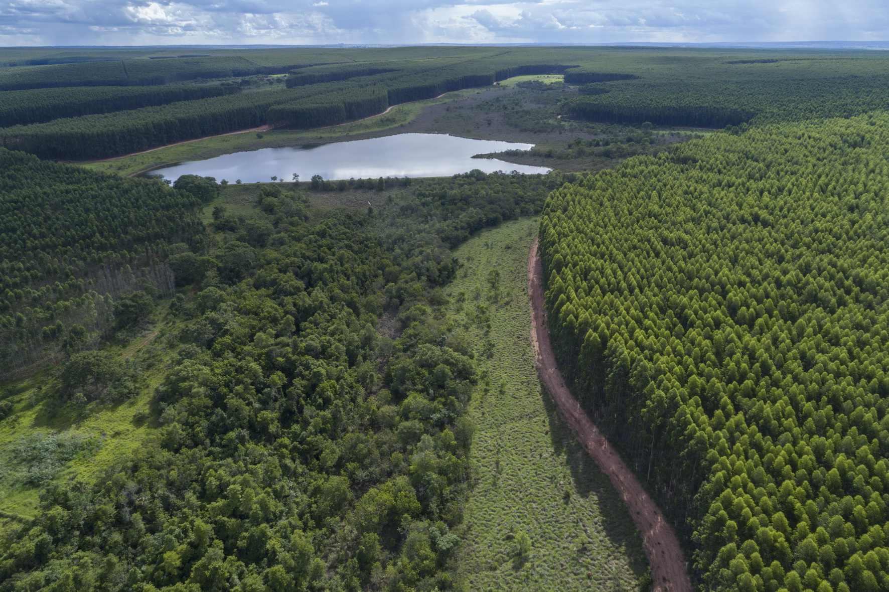 Valmet fornecerá fábrica de celulose completa com soluções de automação e válvulas para Arauco no Brasil