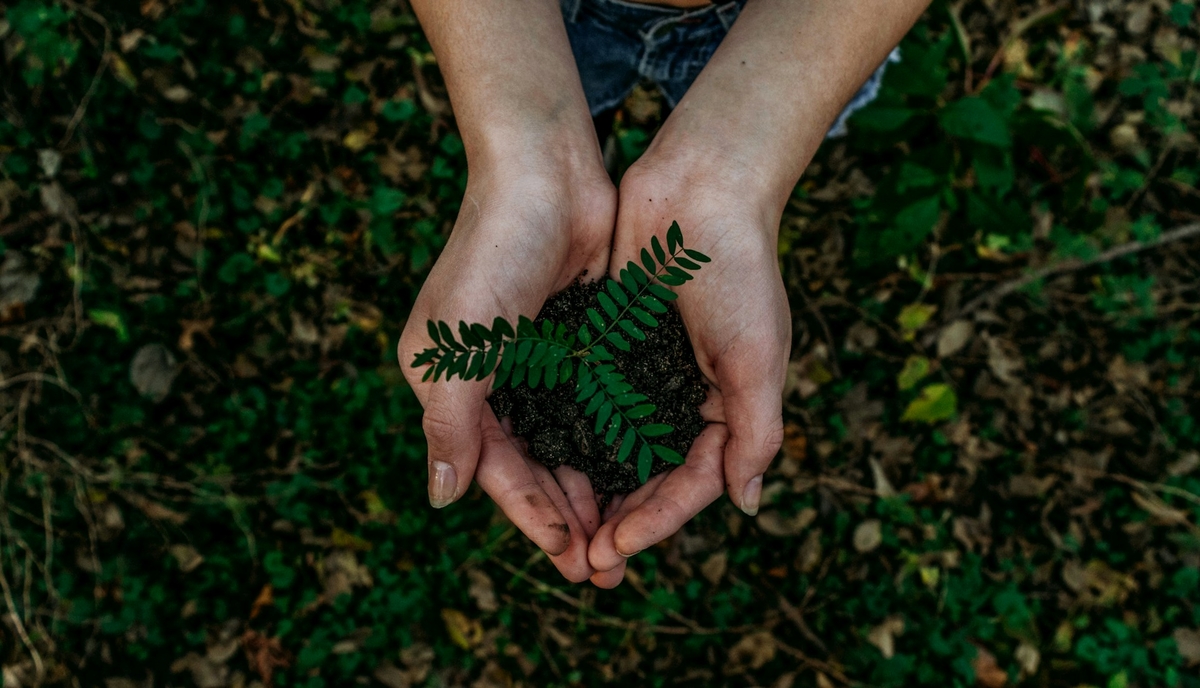 Future Climate abre a conta de restaurar 12 mil hectares