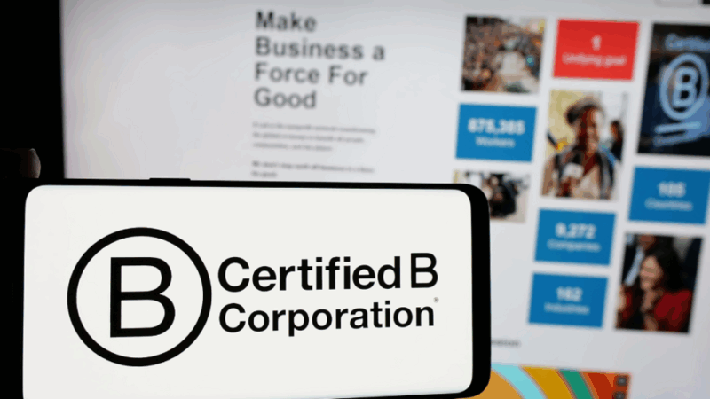 Certificação do Sistema B avança no Brasil
