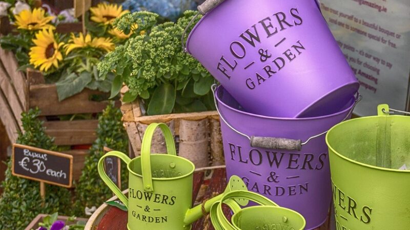 Segmento de flores mostra crescimento nos últimos anos