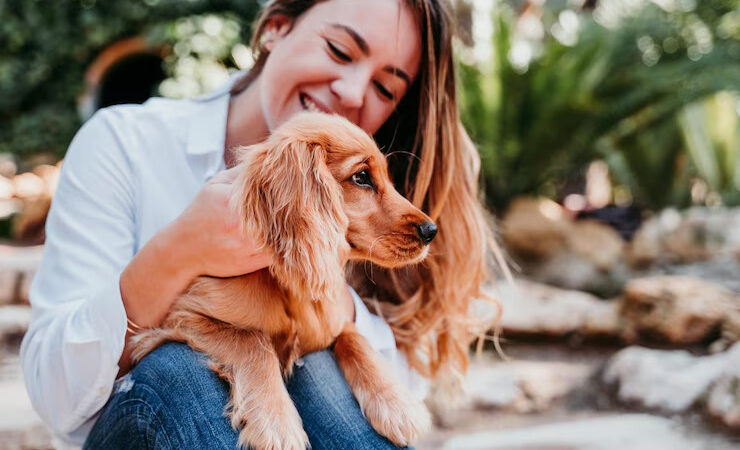 Cuidar do bem-estar dos pets é responsabilidade legal dos tutores