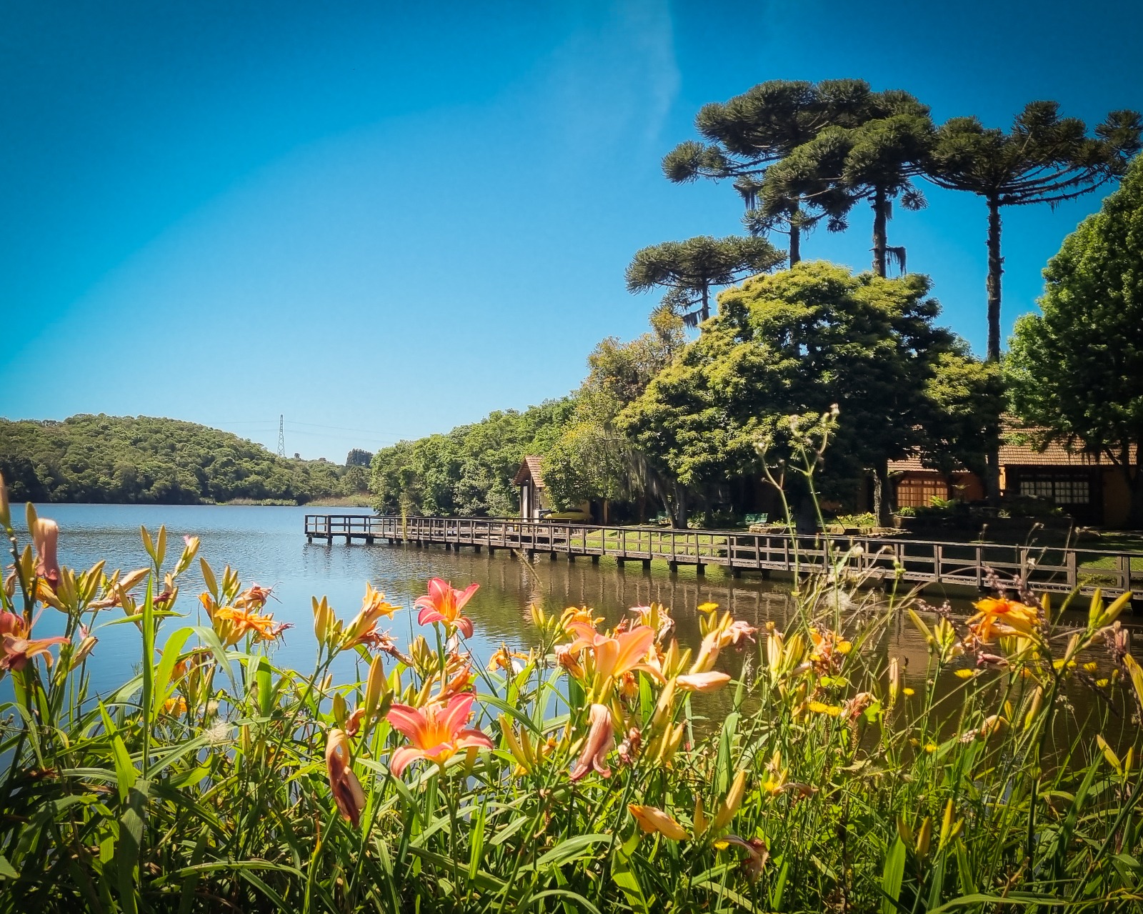 Feriado de Tiradentes reforça alta do turismo de proximidade e hotel a 50 minutos de Curitiba aposta em experiências em família