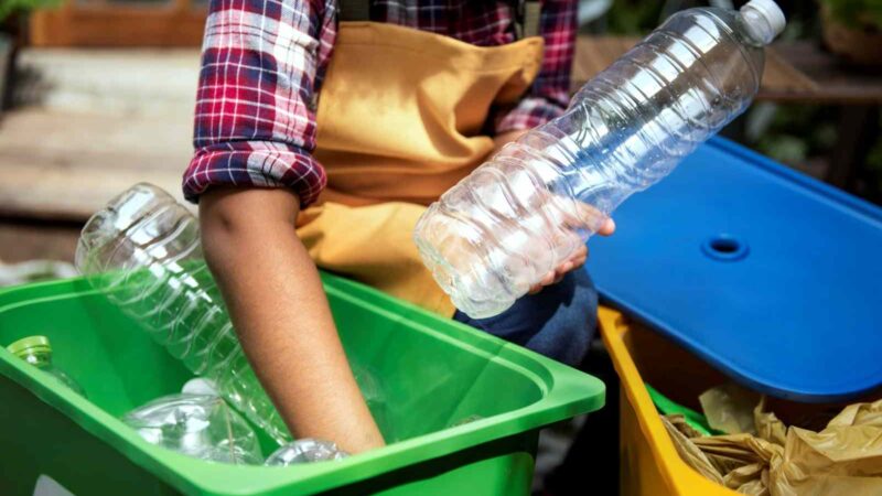 Instituto Tibagi celebra o Dia Mundial da Limpeza com programação especial