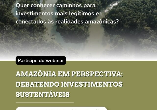Webinário debate caminhos para investimentos sustentáveis