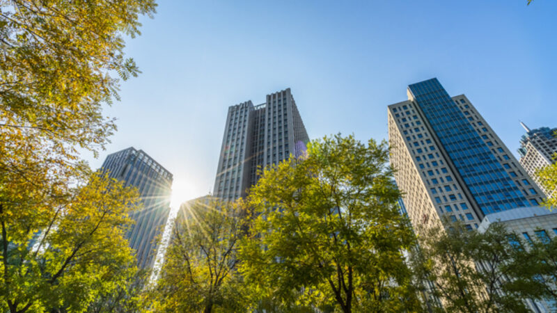 Grant Thornton orienta sobre adaptação ao IFRS S1 e S2