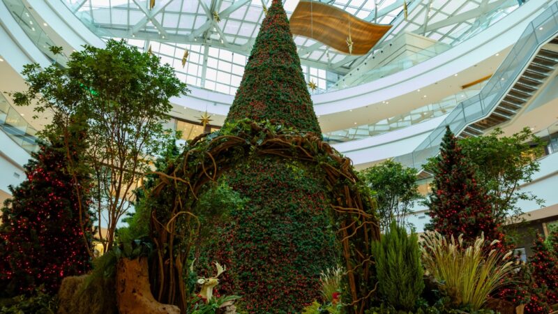 Pátio Batel desperta a magia e os sentidos com floresta encantada de Natal