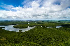 Fake : Amazônia virou área militar após publicação de decreto de Bolsonaro