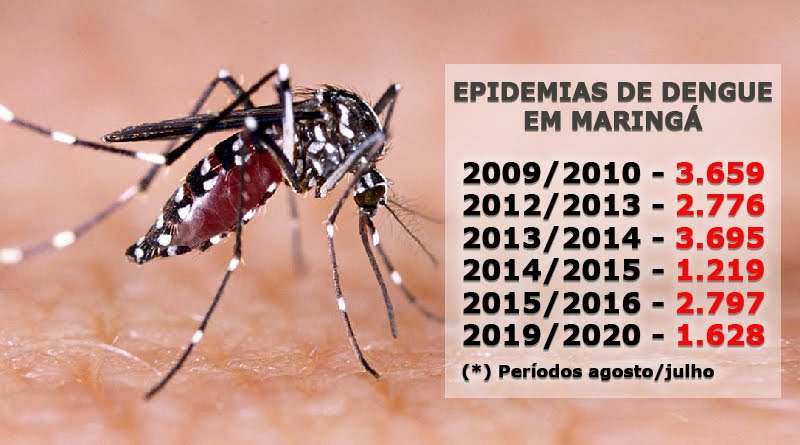 Na  gestão Silvio/ Pupin quase o dobro de casos de dengue