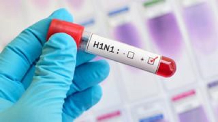 Por que o H1N1 não parou economias como o coronavírus?