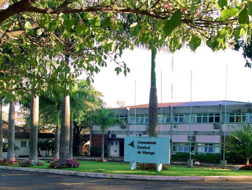 Universidade Estadual de Maringá conquista 11 patentes em 2020