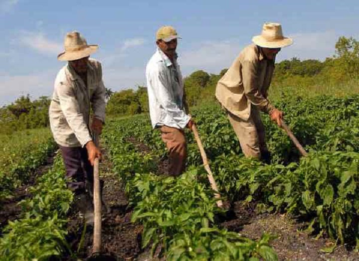 Enio Verri:”Câmara dos Deputados  pode votar abono de R$ 3 mil para pequenos agricultores”