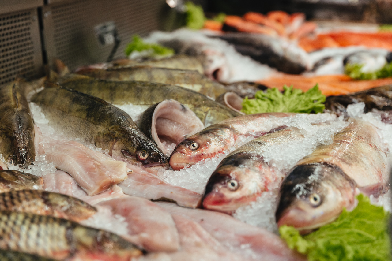 Estudo mostra perfil de consumidores brasileiros de peixes