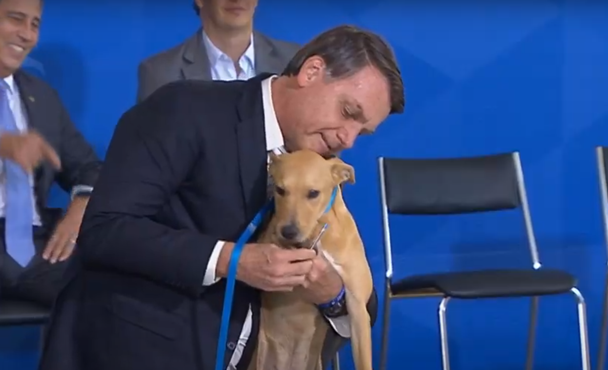 Bolsonaro sanciona lei que aumenta pena por maus-tratos a cães e gatos