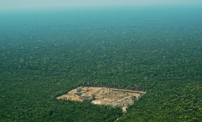 FILES-BRAZIL-ELECTION-AMAZONIA