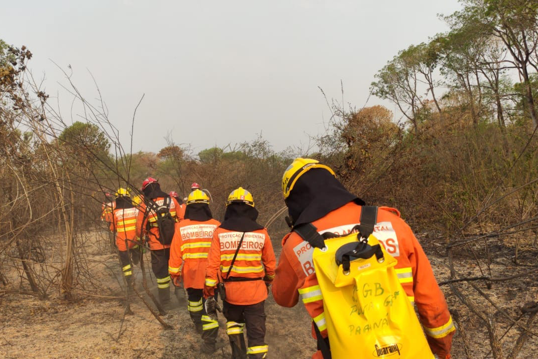 Bombeiros do Paraná completam dez dias de combate a incêndios no Pantanal