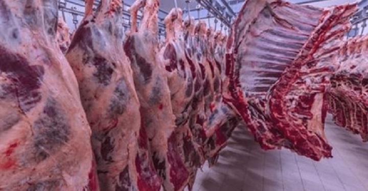 As exportações de carne bovina fresca, refrigerada ou congelada do Brasil renderam US$ 492,848 milhões em agosto