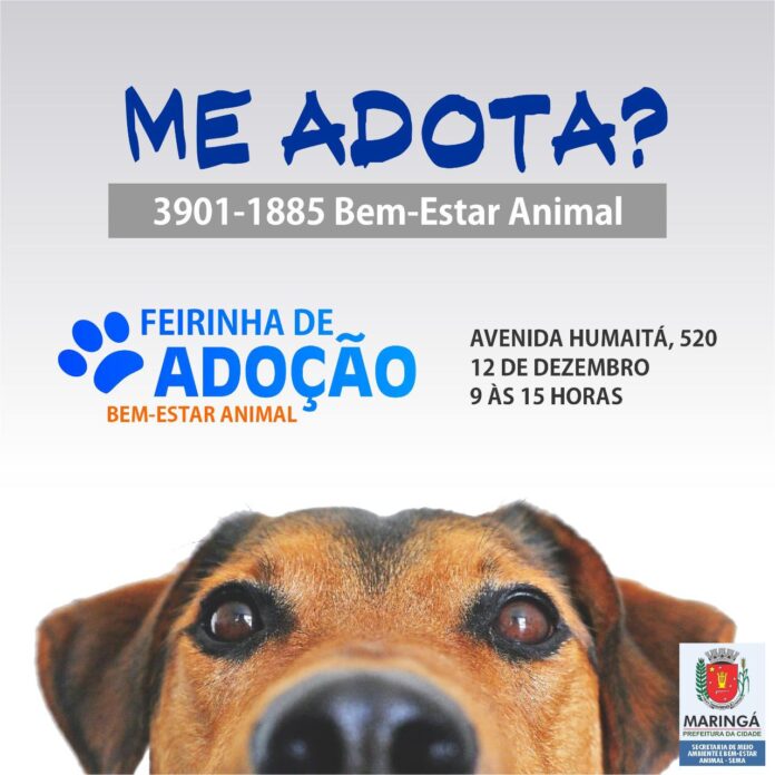 Secretaria de Meio Ambiente e Bem-Estar Animal, criou plataforma online no Flickr para adoção responsável de pets.