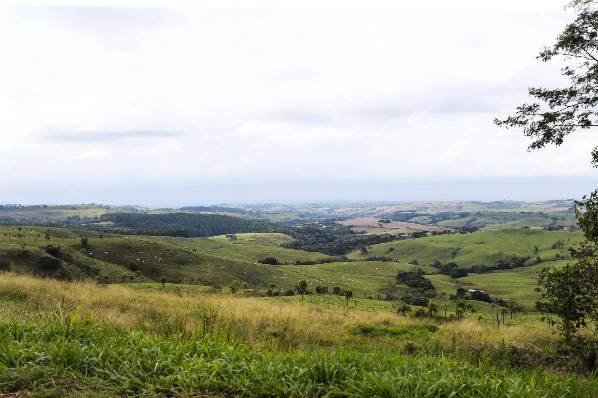 Com valorização da produção, preço de terras agrícolas sobe no Paraná