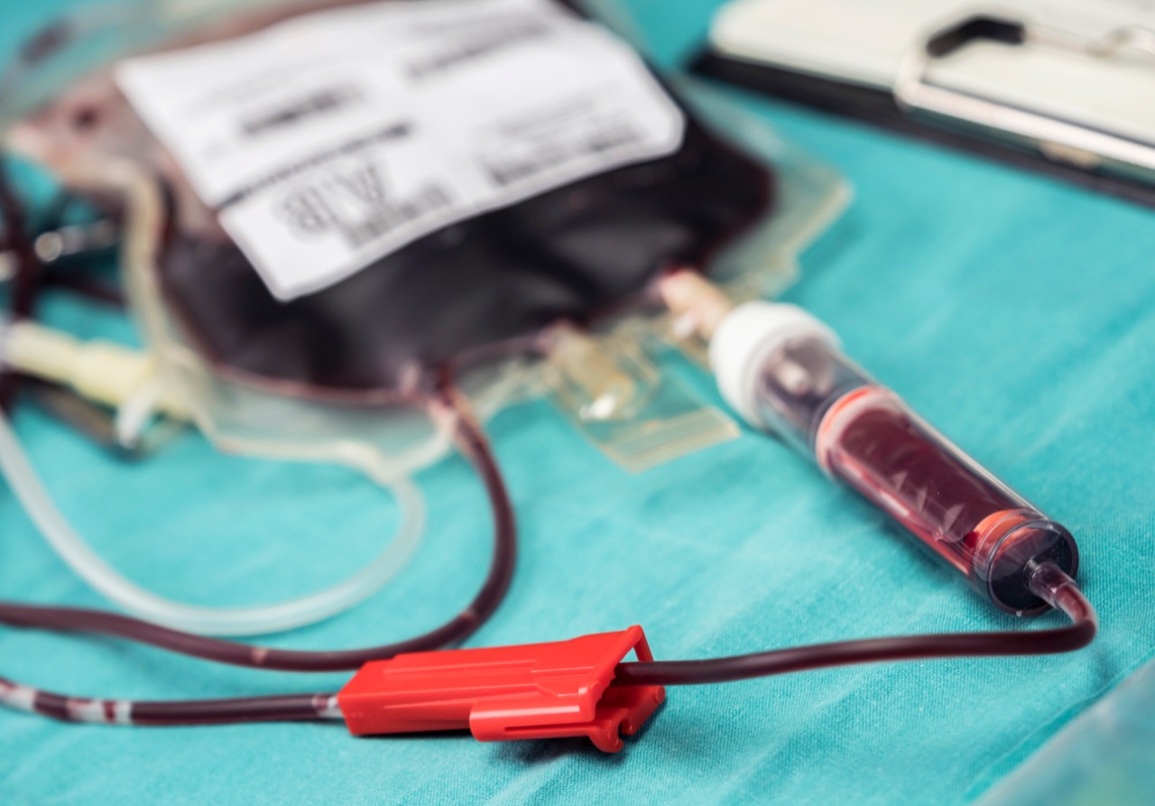 Dia Mundial do Doador de Sangue (14/06): com aumento nos acidentes de trânsito, transfusões de sangue são mais necessárias