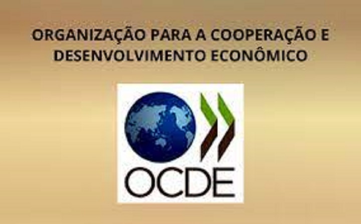 Valéria Brasil comenta sobre relatórios inéditos da OCDE