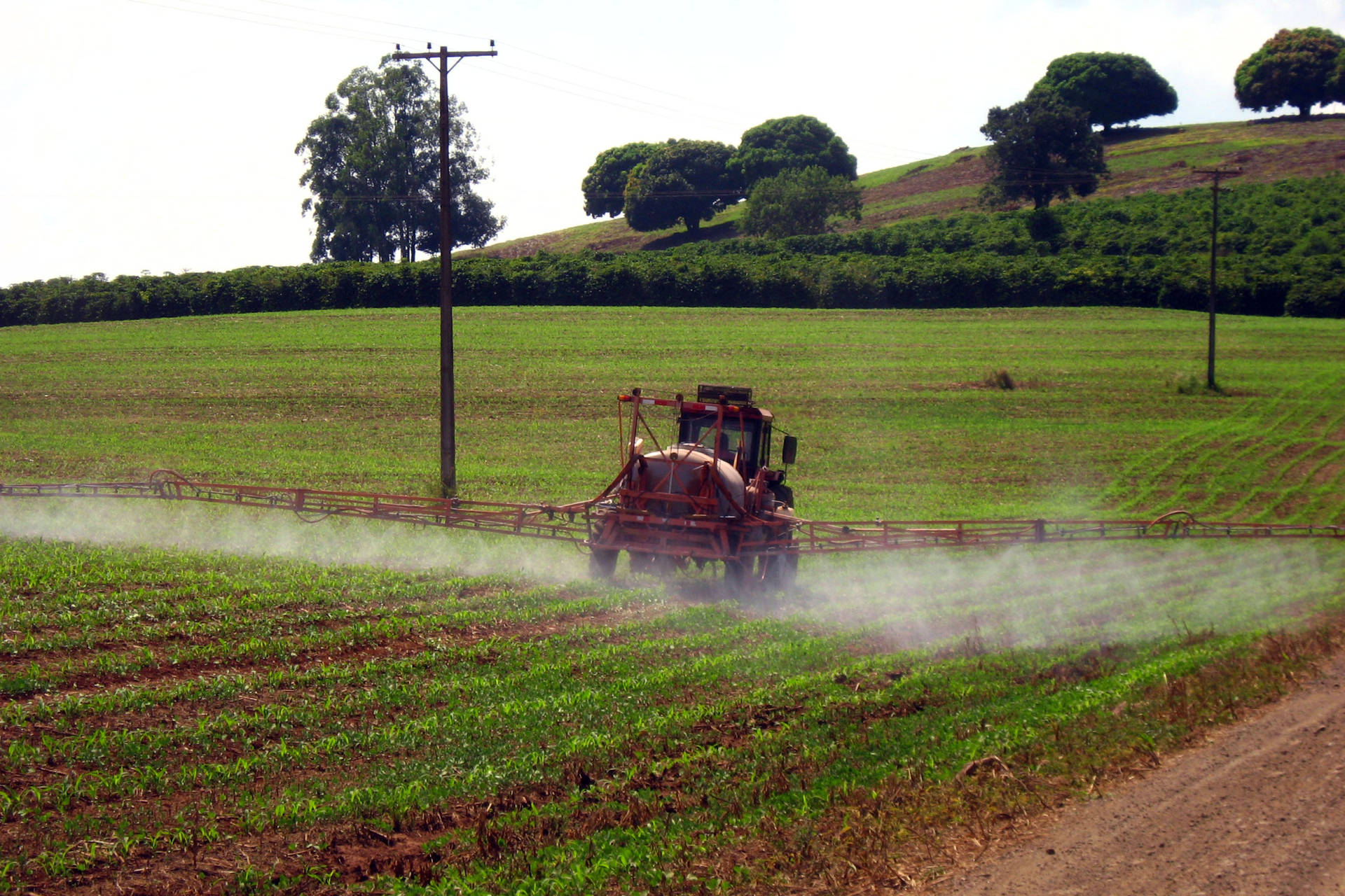 Novo decreto do governo federal sobre agrotóxicos exige capacitação para aplicadores