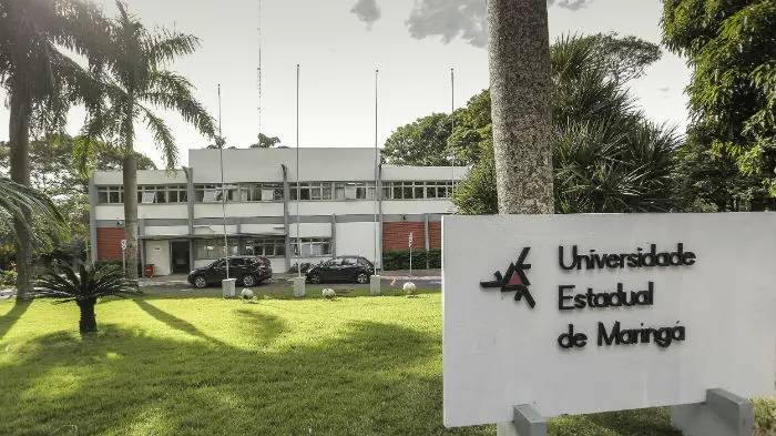 UEM contrata professores com remuneração de até R$ 8.870,35