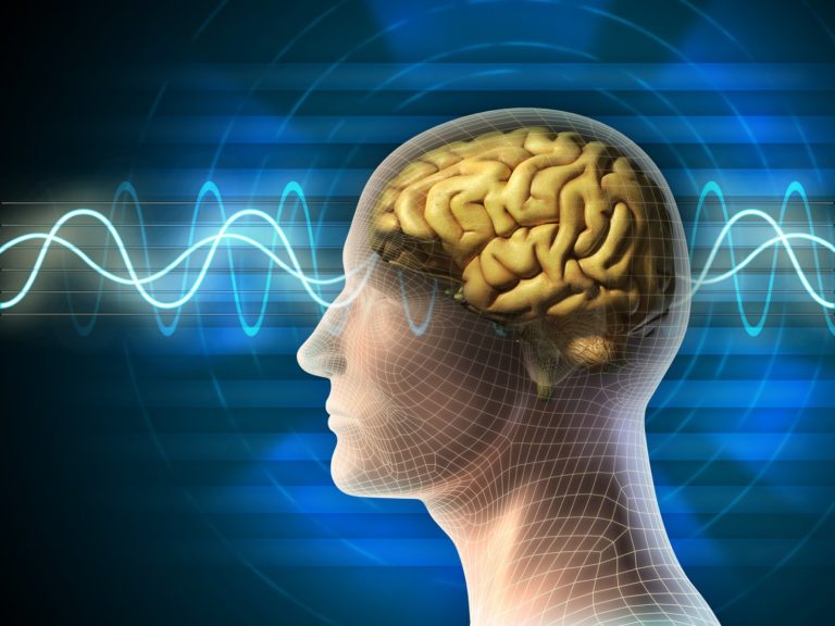 Neuroplasticidade: como estimular o cérebro a aprender mais e por mais tempo?