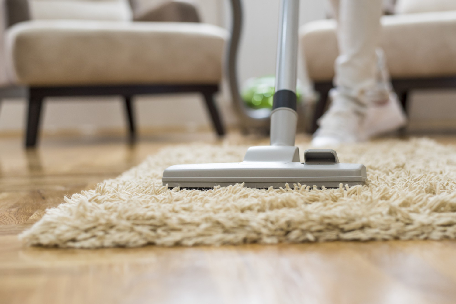 Limpeza periódica de tapetes pode prevenir doenças para pessoas e pets