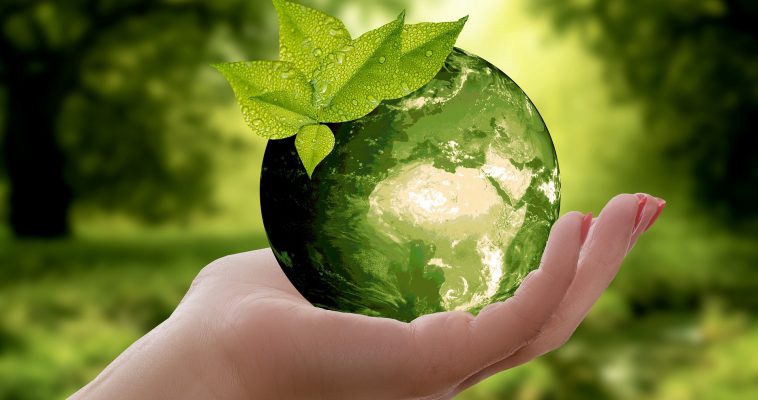 Dia Mundial do Meio Ambiente será comemorado no dia 5 de junho