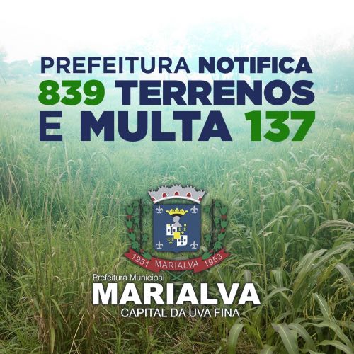 Marialva tem 839 notificações por mato alto só em 2022; 137 já foram multados