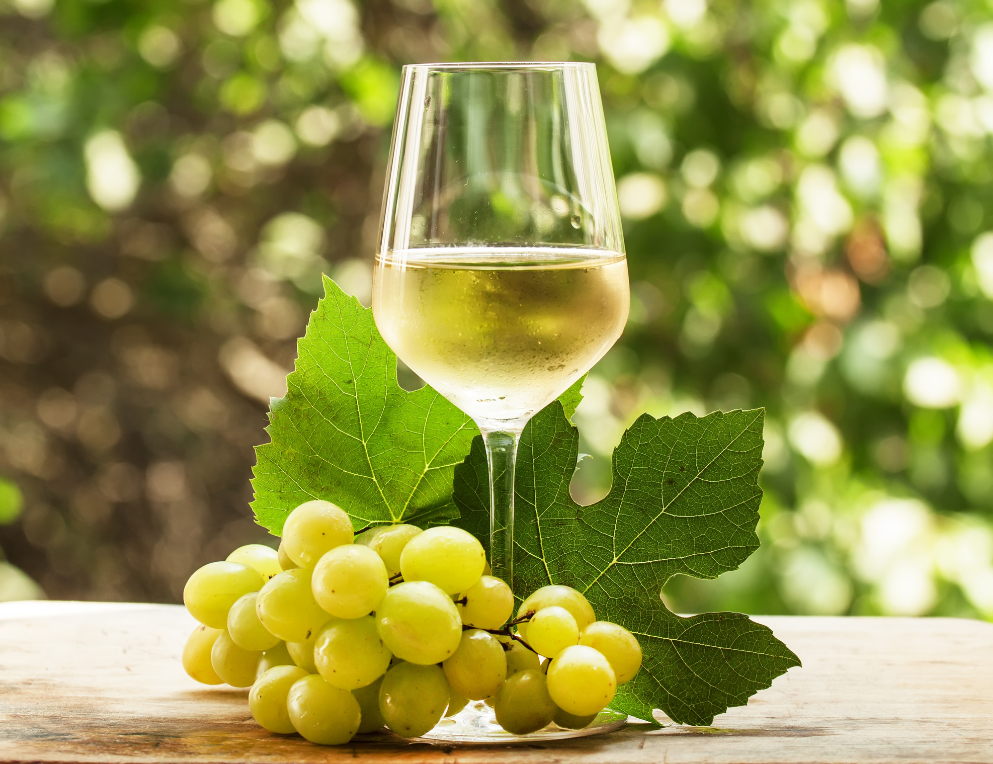 Dia Mundial do vinho Chardonnay foi celebrado em 27 de maio