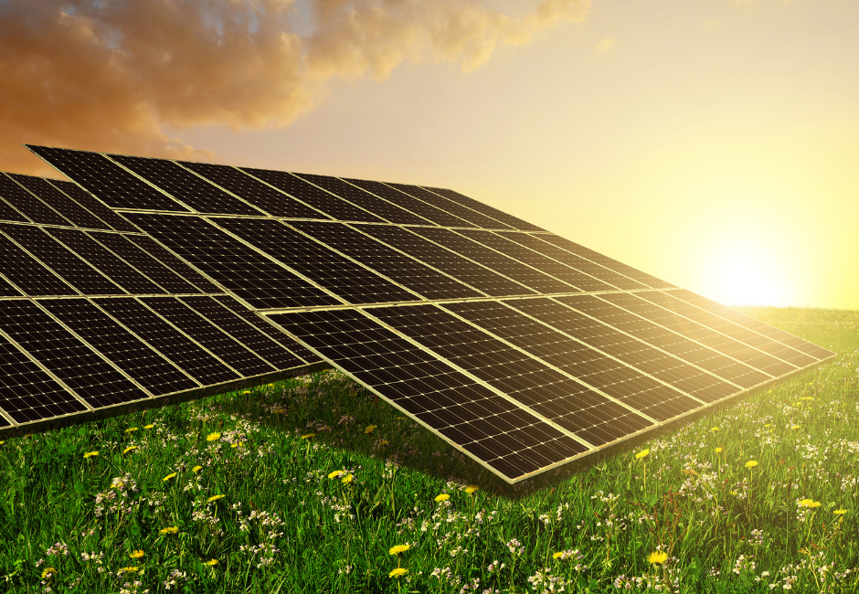 Energia solar: agronegócio tem perspectiva de expansão do setor