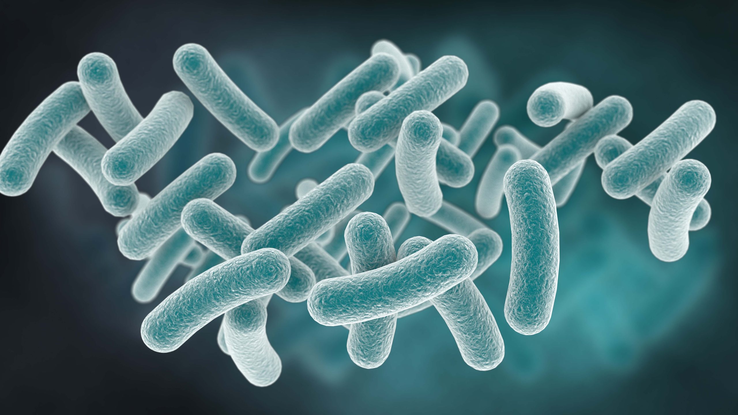 Novo Portal Científico visa ampliar o conhecimento sobre probióticos