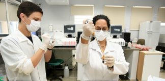 Maringá registra 1º caso de varíola dos macacos; Saúde capacita profissionais para detecção precoce