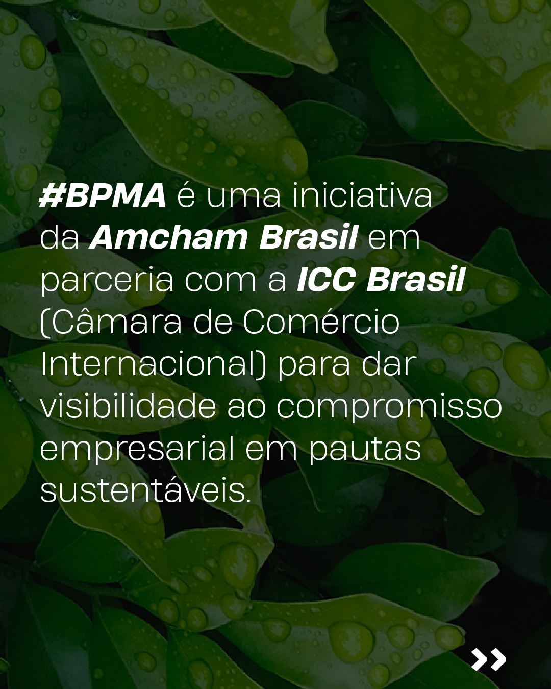 Amcham e ICC Brasil lançam mobilização empresarial pelo meio ambiente