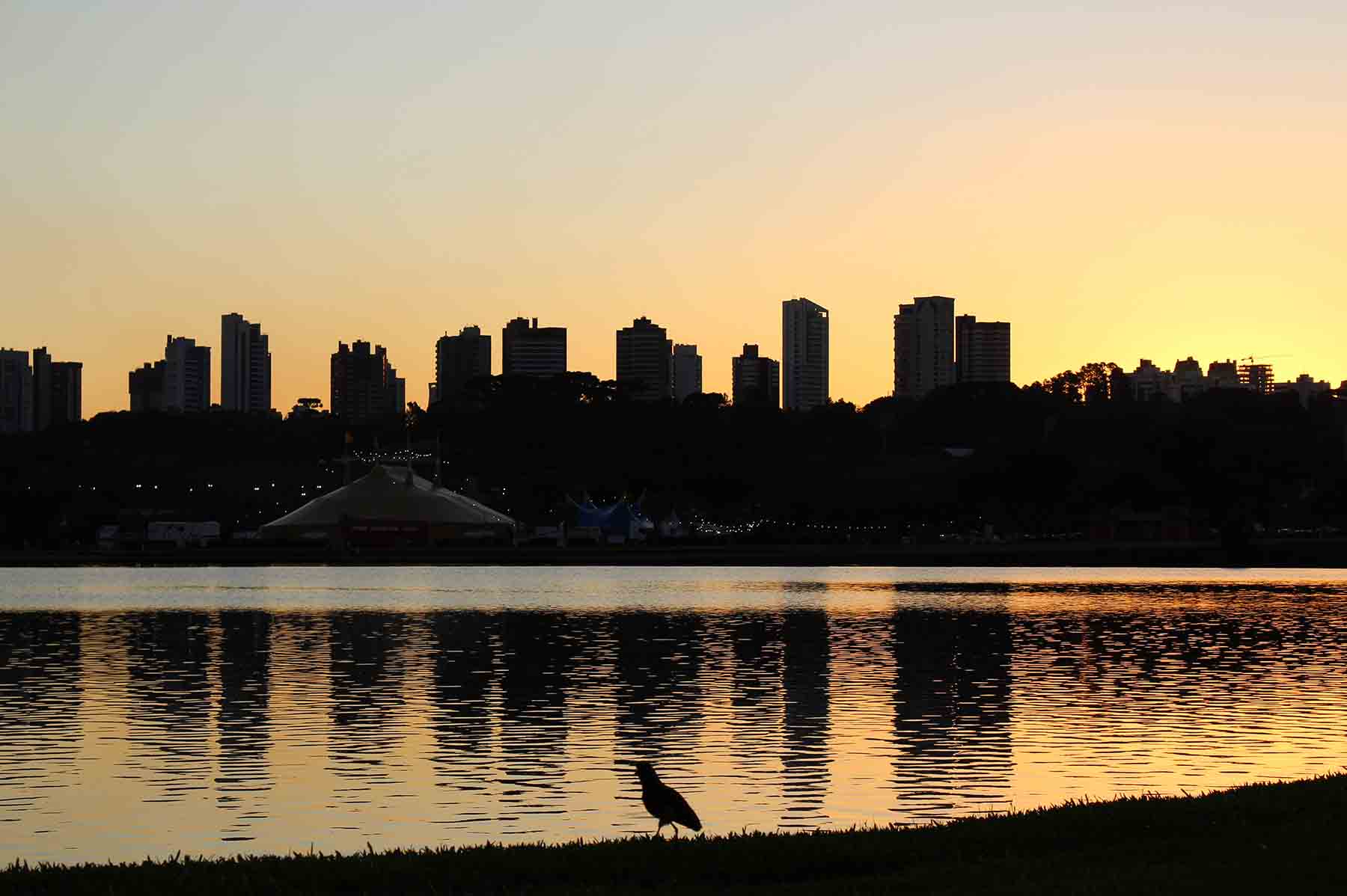 Livro de suspense tem como cenário a cidade de Curitiba