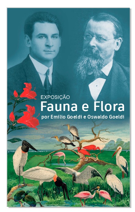 Exposição sobre a Fauna e Flora Brasileira une trabalhos de Suíços em Belém-PA