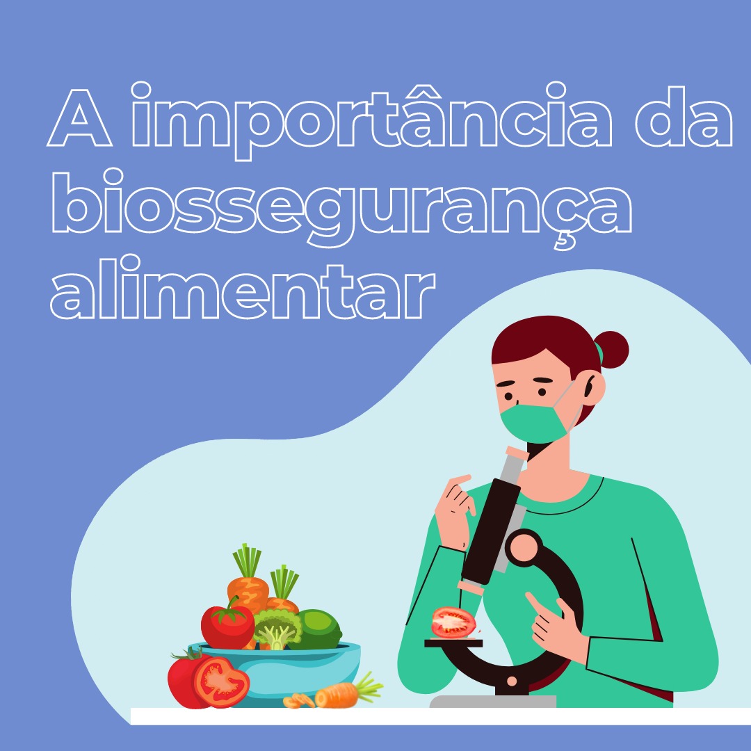 Alimentos transgênicos apresentam riscos à biossegurança alimentar