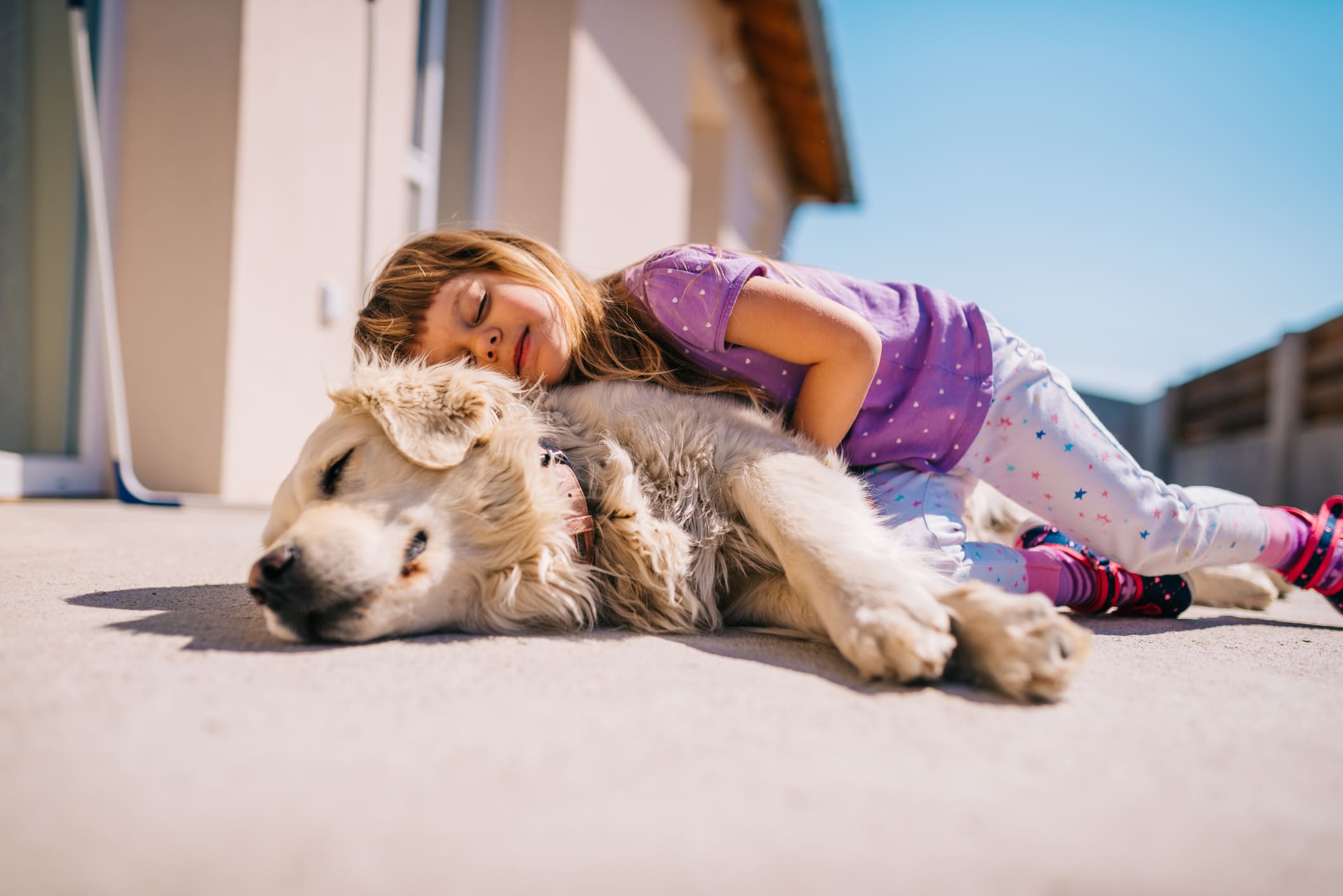 Pesquisa aponta que pets promovem benefícios para a saúde humana