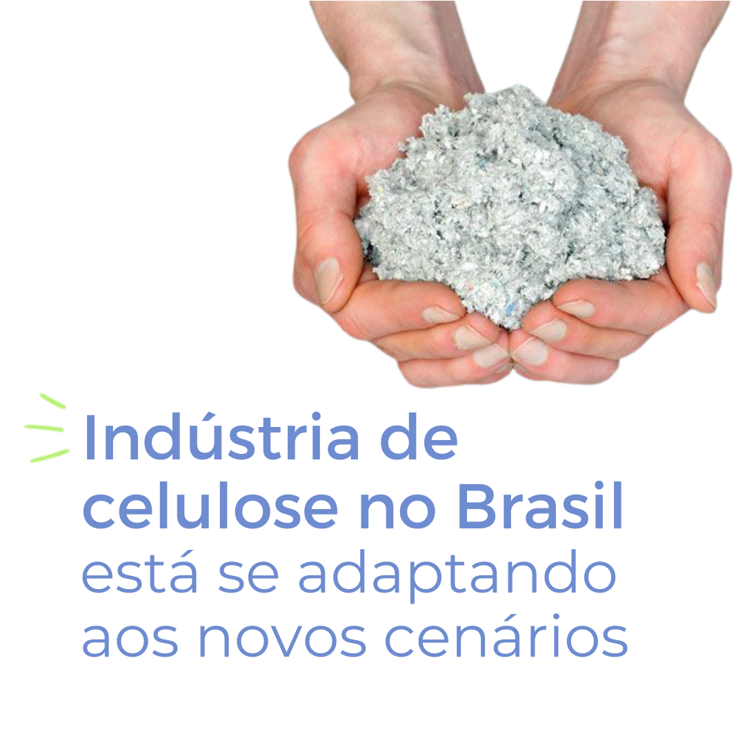 Indústria de celulose no Brasil está se adaptando aos novos cenários