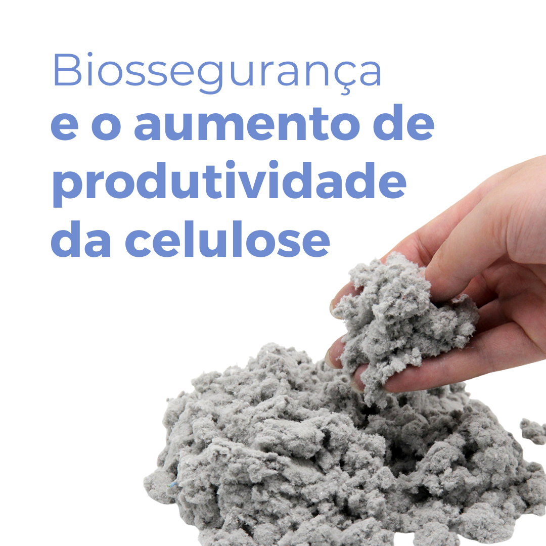 Mercado de celulose busca aumento de produtividade