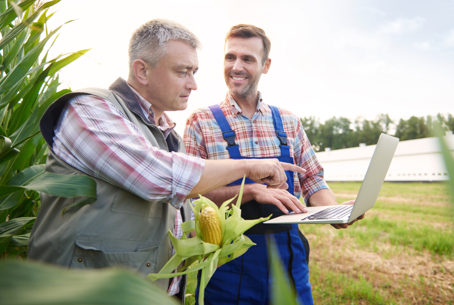 Business Intelligence abre possibilidades no agronegócio