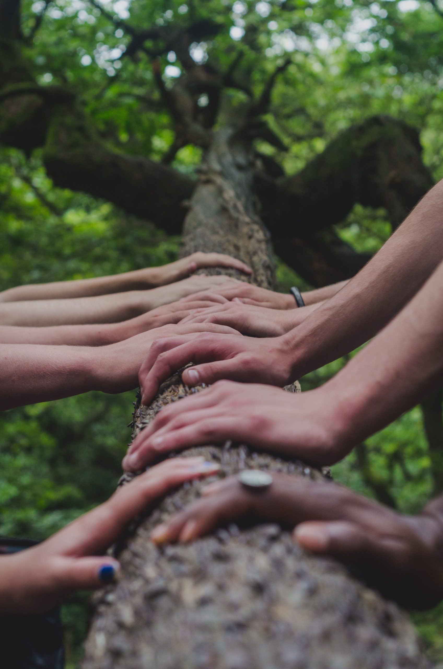 Sustentabilidade humana está diretamente relacionada com a neurobiologia