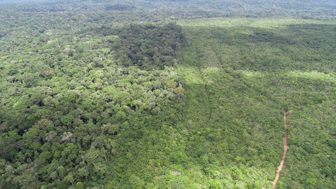 Setor produtivo articula proposta de desenvolvimento sustentável da Amazônia