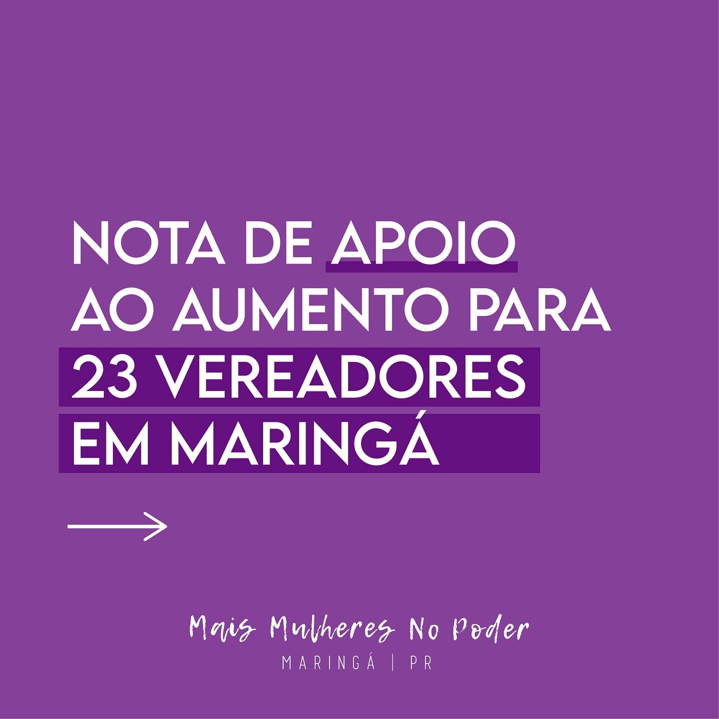 Integrantes do Movimento Mais Mulheres No Poder Maringá apoiam adequação para 23 vereadores no município