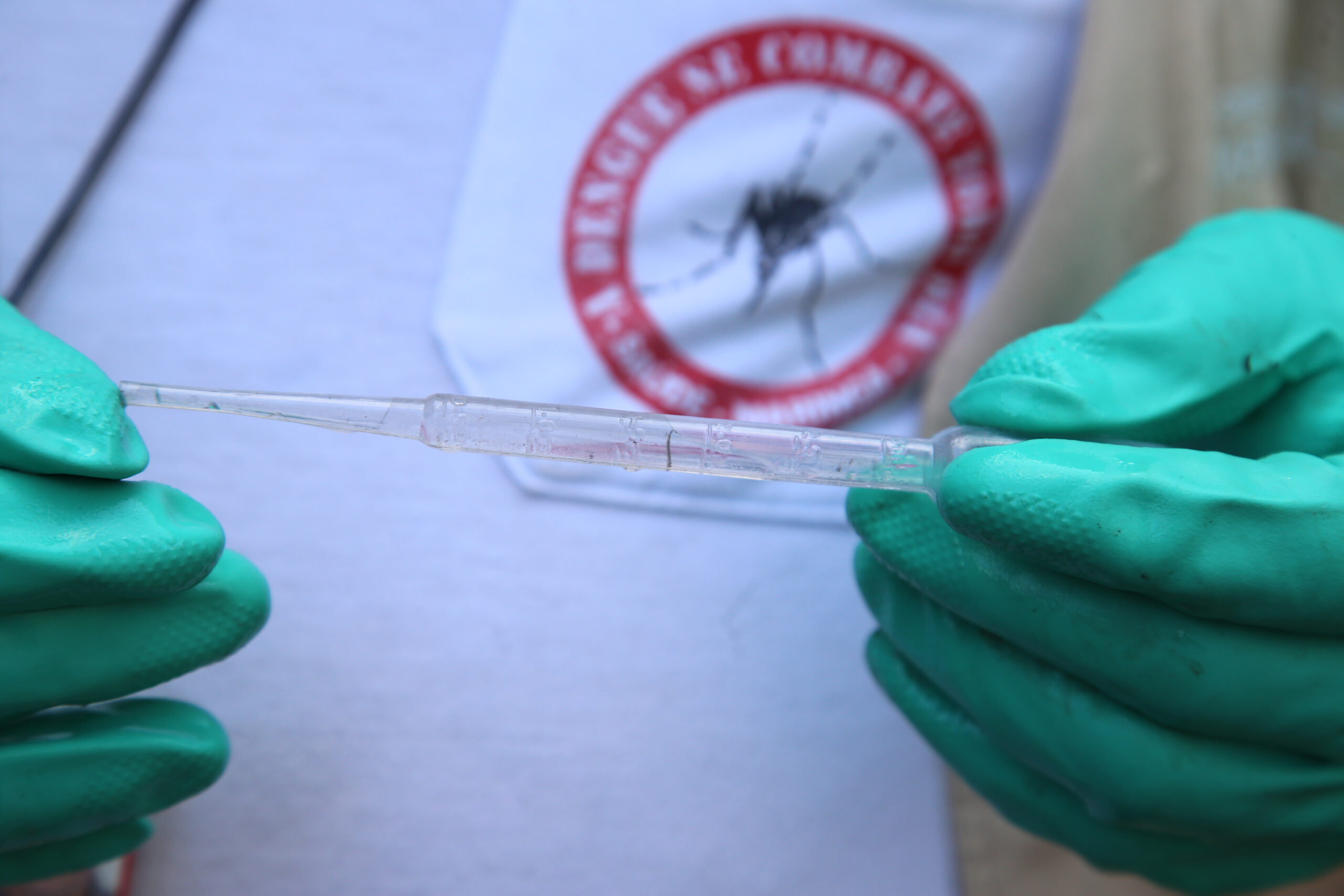 1º Índice de Infestação da dengue de 2023 é considerado de risco médio em Maringá