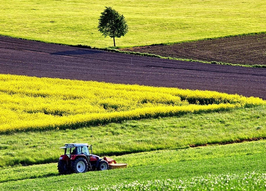 Cinco dicas para melhorar a performance comercial no agronegócio
