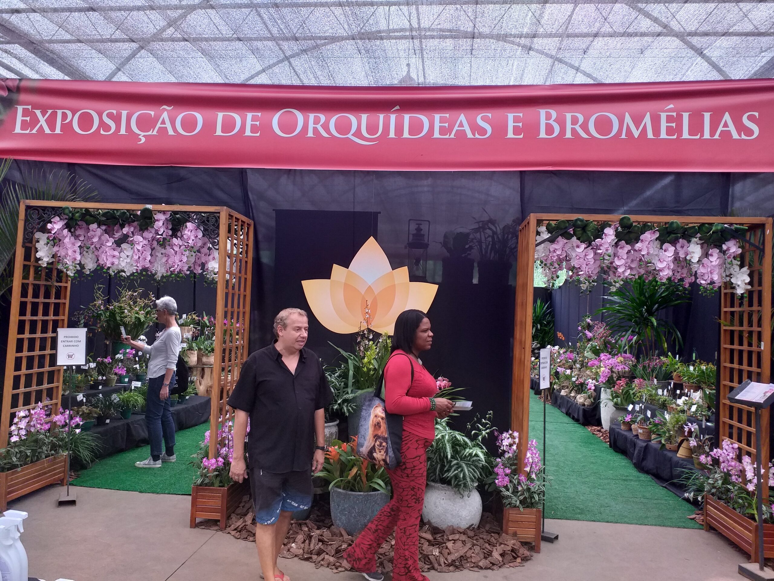 Fim de semana paulista tem exposição e palestras gratuitas sobre orquídeas