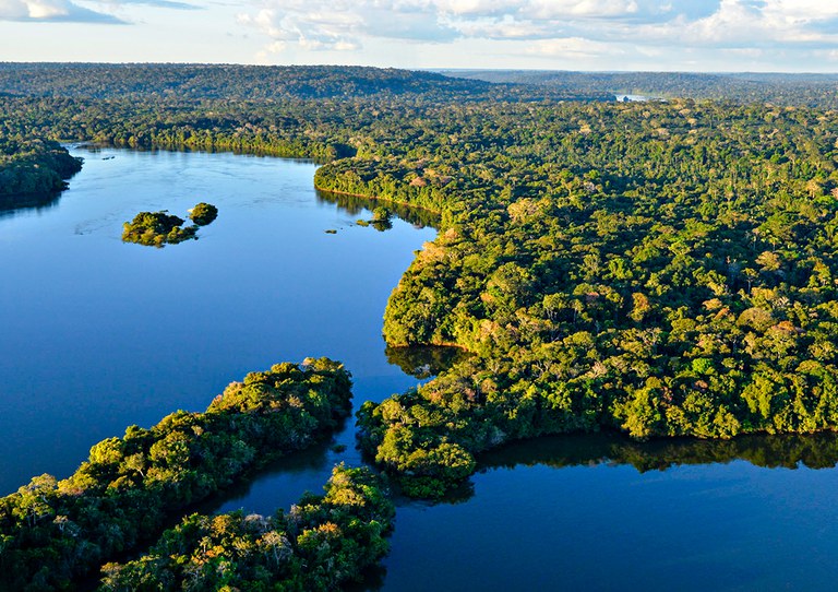 Desmatamento na Amazônia cai 68%